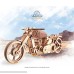 Wooden Bike Vintage Vehicle Mechanical Models School Project Automata Kit Desk Décor by Ugears B07KMHBNRS